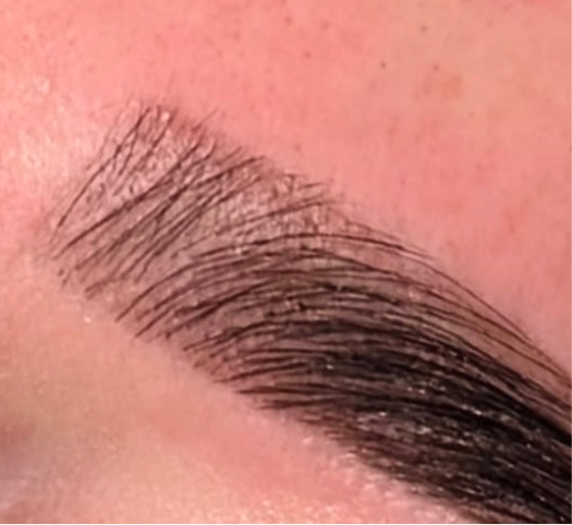 Defined brow shaping & Brow lamination training